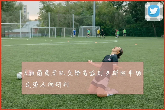 K组葡萄牙队交锋乌兹别克斯坦半场走势方向研判
