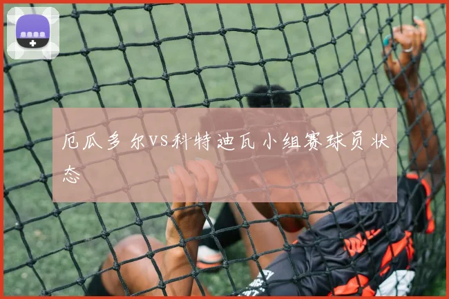 厄瓜多尔vs科特迪瓦小组赛球员状态