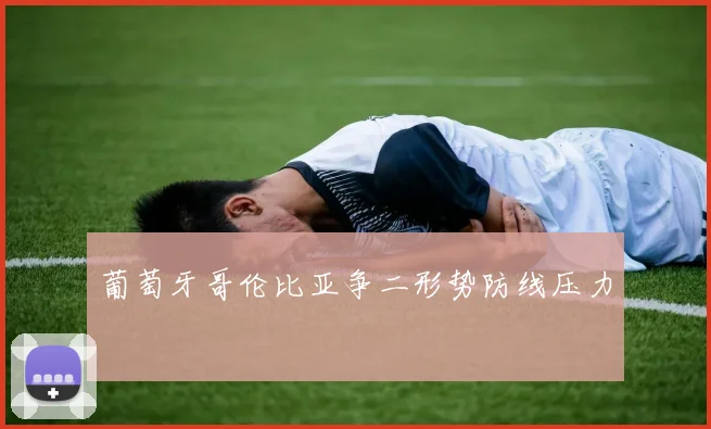 葡萄牙哥伦比亚争二形势防线压力