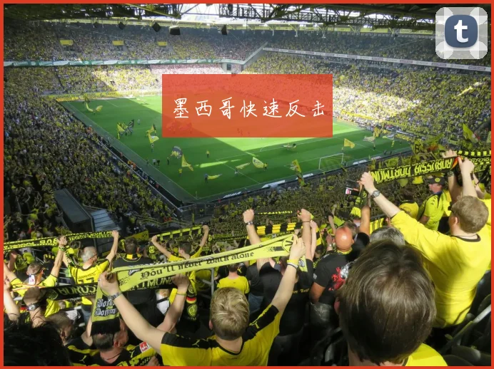 开云体育 - 墨西哥快速反击