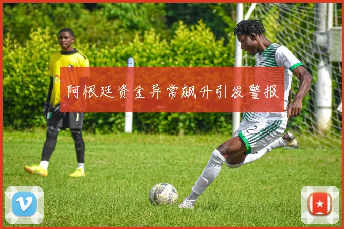 开云体育 - 阿根廷资金异常飙升引发警报