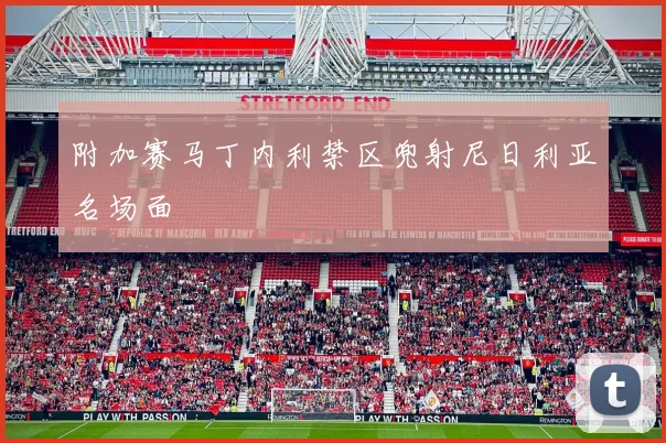 附加赛马丁内利禁区兜射尼日利亚名场面
