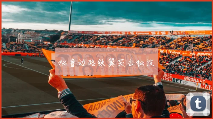 开云体育 - 秘鲁边路铁翼突击秘技