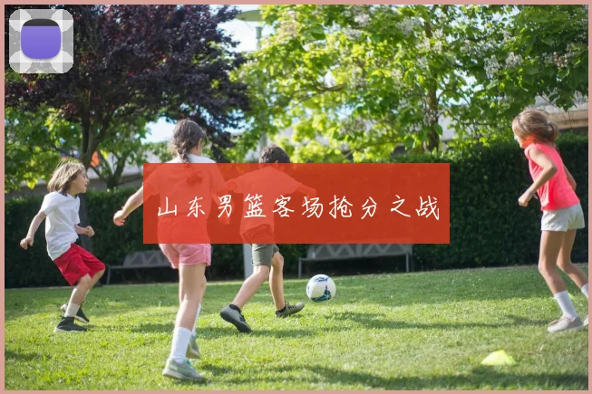 开云体育 - 山东男篮客场抢分之战