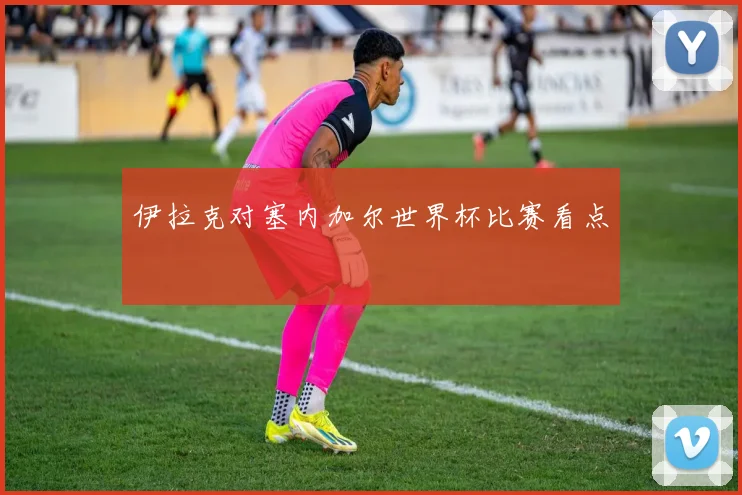 伊拉克对塞内加尔世界杯比赛看点