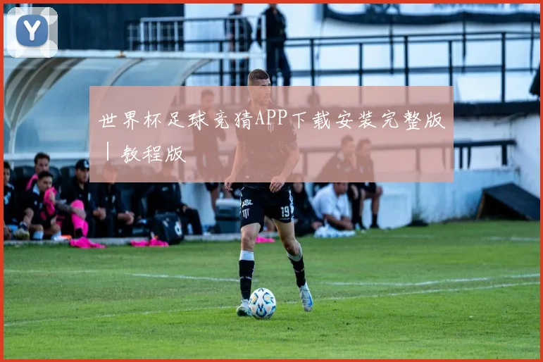 开云体育 - 世界杯足球竞猜APP下载安装完整版｜教程版