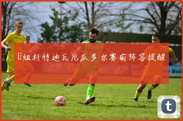 E组科特迪瓦厄瓜多尔赛前阵容提醒