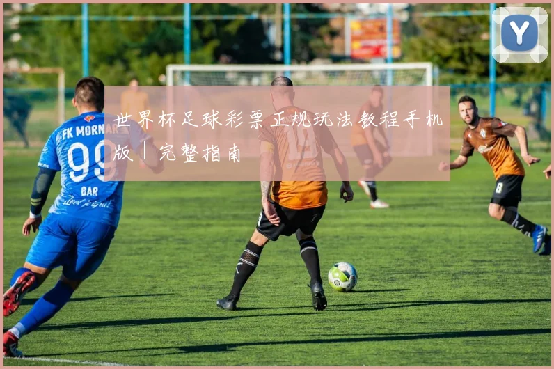 开云体育 - 世界杯足球彩票正规玩法教程手机版｜完整指南