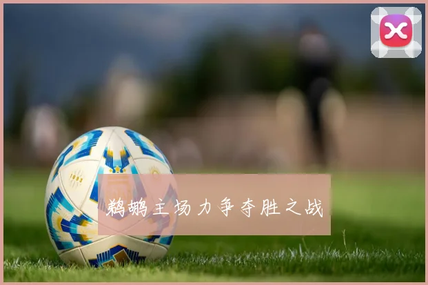 开云体育 - 鹈鹕主场力争夺胜之战