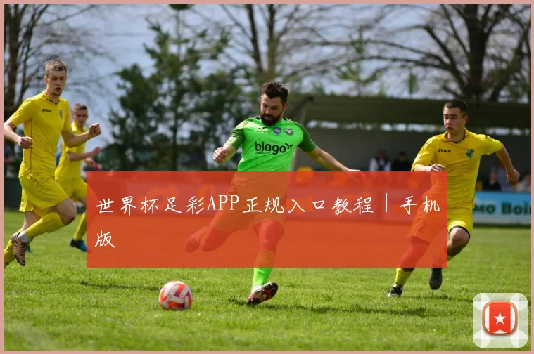 开云体育 - 世界杯足彩APP正规入口教程｜手机版