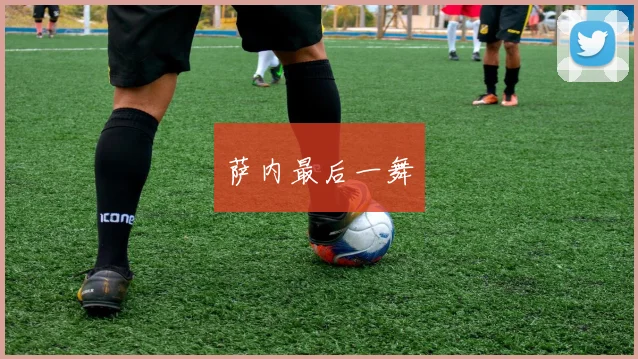 开云体育 - 萨内最后一舞