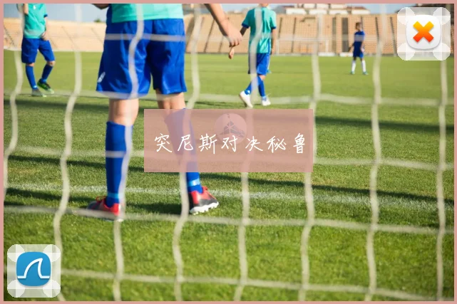 突尼斯对决秘鲁