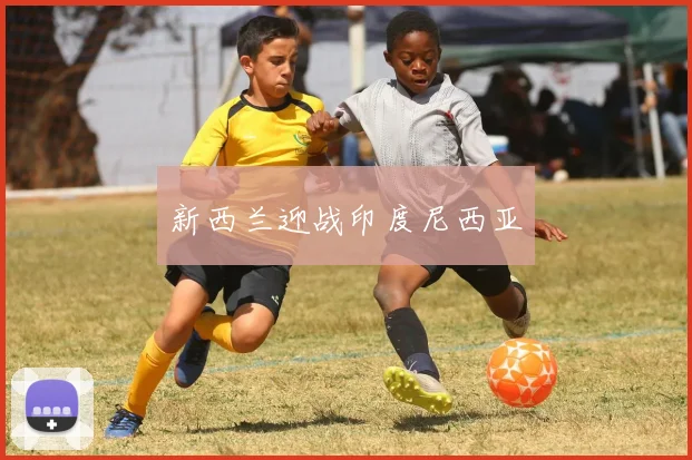 开云体育 - 新西兰迎战印度尼西亚