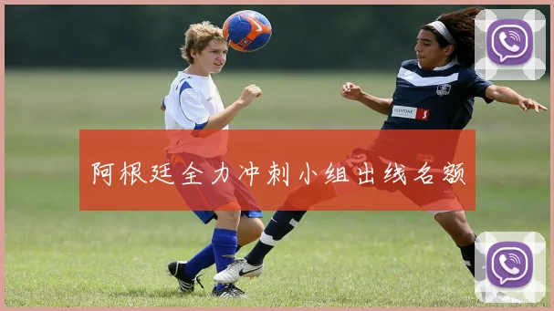 开云体育 - 阿根廷全力冲刺小组出线名额