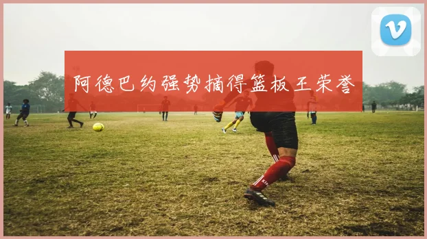 开云体育 - 阿德巴约强势摘得篮板王荣誉