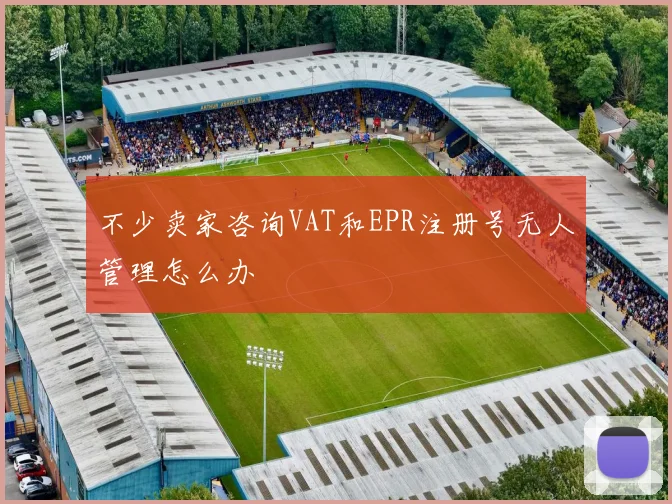 开云体育 - 不少卖家咨询VAT和EPR注册号无人管理怎么办