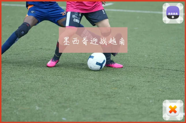 开云体育 - 墨西哥迎战越南