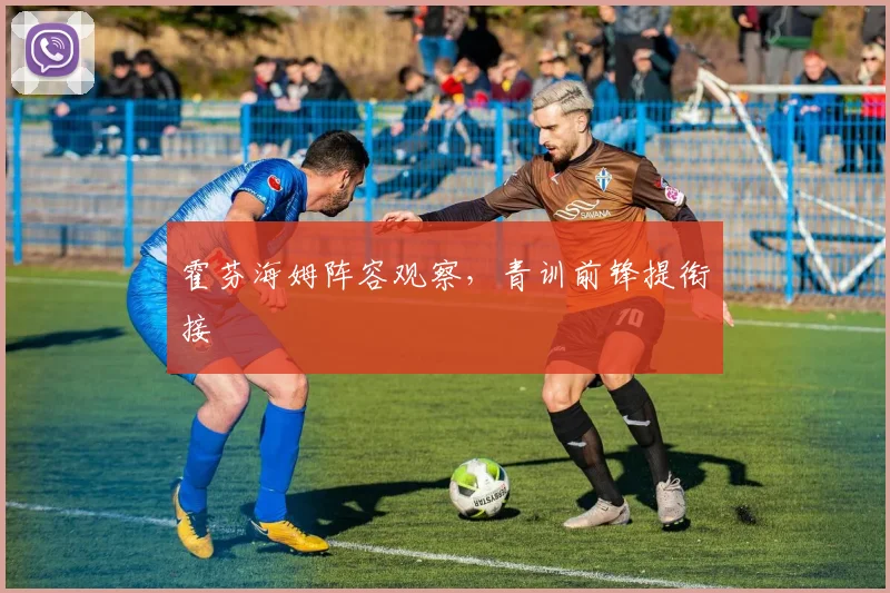 霍芬海姆阵容观察，青训前锋提衔接
