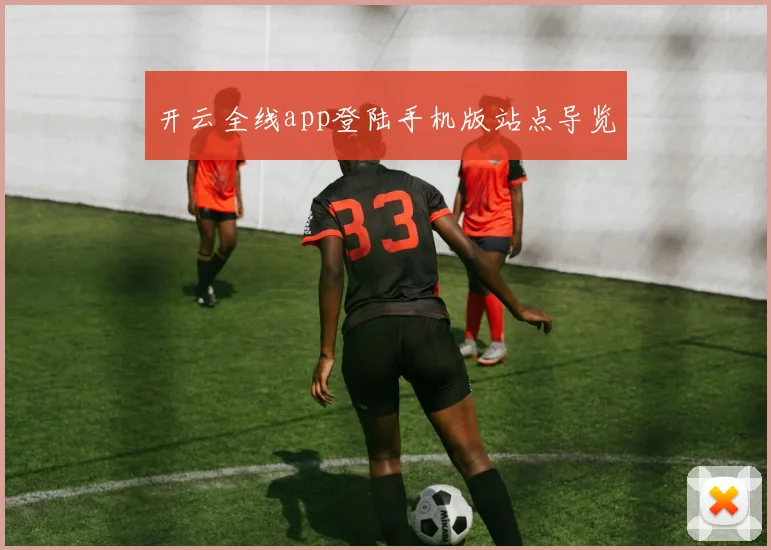开云全线app登陆手机版站点导览