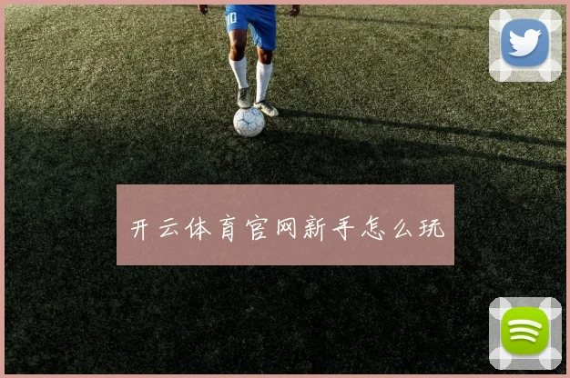 开云体育官网新手怎么玩