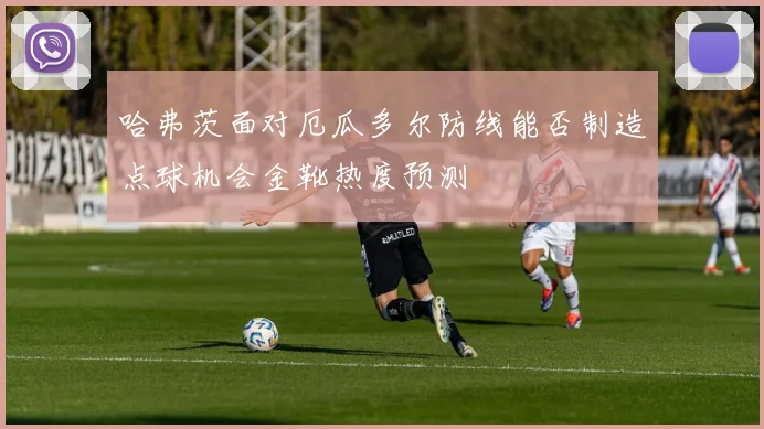 哈弗茨面对厄瓜多尔防线能否制造点球机会金靴热度预测