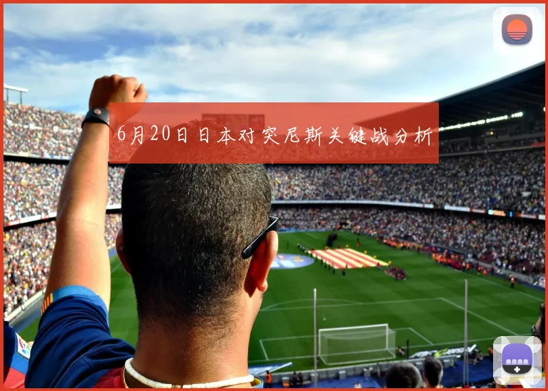 6月20日日本对突尼斯关键战分析